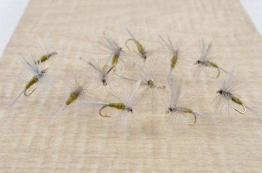 Blue Winged Olive (12 Pack)