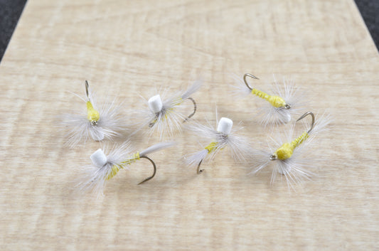 Rainy's Parachute Biot Body - PMD (6 Pack)