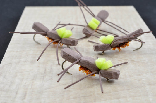 Rainy's Fat Boy Chernobyl Ant - Brown (6 Pack)