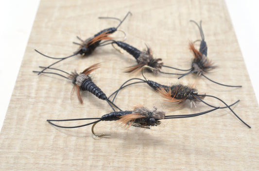 Rainy's Stretch-Flex Stonefly Nymph - Black (6 Pack)