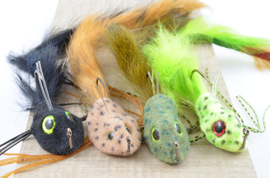 Schiel's Mad Mud Dog Salamander (1 Pack)