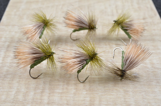 J's Hi-Tie Caddis - Olive (6 Pack)