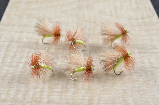 J's Hi-Tie Sally - Green (6 Pack)