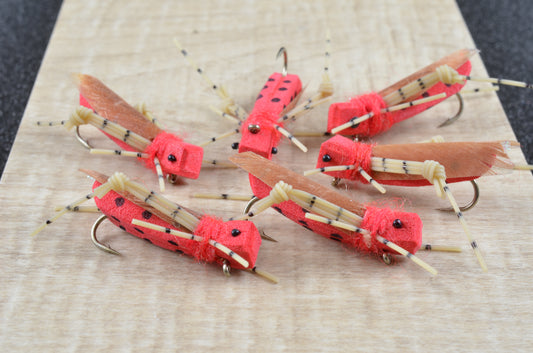 Rainy's Grand Hopper - Red (6 Pack)