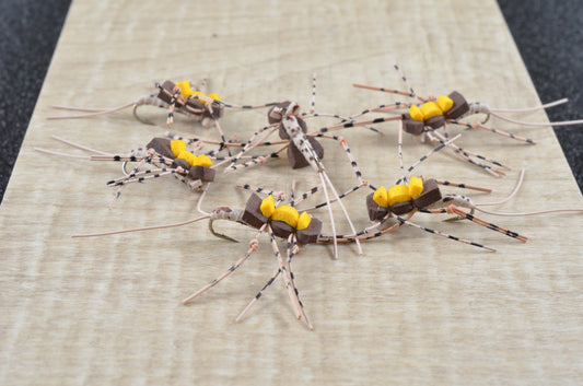 Claassinea Stone - Tan/Brown (6 Pack)