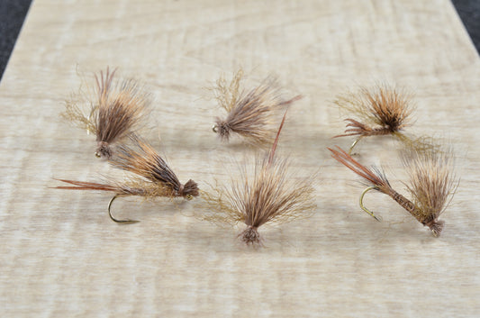 Galloup's Found Link (6 Pack)